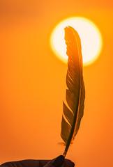 Feather/wing raised up in sky during sunset. sun in background sunset concept. Girl holding/ flying feather © Peppygraphics