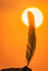 Feather/wing raised up in sky during sunset. sun in background sunset concept. Girl holding/ flying feather