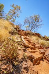 hiking down in hancock gorge in karijini national park, western australia 3