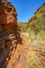 hiking down in hancock gorge in karijini national park, western australia 7