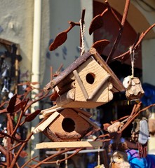 wooden birdhouse on a tree