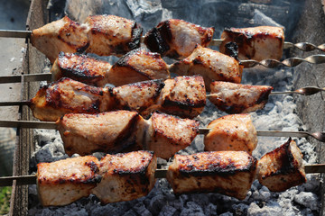meat, shish kebab, barbecue, grill