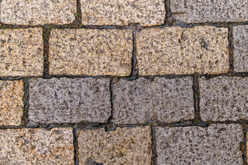 Multicolored Sidewalk Tile Texture. The Texture of Artificial Stone Pavers of Different Colors. Garden stone path with grass growing up between and around stones, Brick Sidewalk