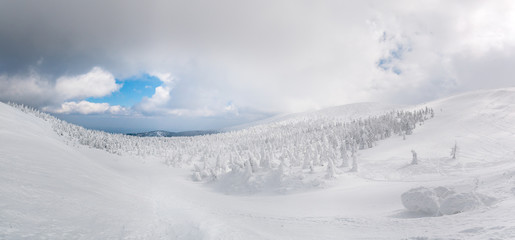 Fototapeta na wymiar panorama view of snow monster on Mt.Zao