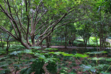 parc de chuansha