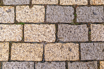 Multicolored Sidewalk Tile Texture. The Texture of Artificial Stone Pavers of Different Colors. Garden stone path with grass growing up between and around stones, Brick Sidewalk