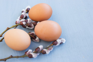 Kitty willow and egg on a gray background. Minimalistic easter background. Copy space.