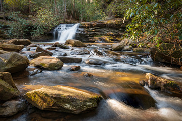waterfall in the forest