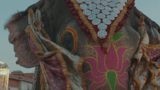 a very colorful elephant at a traditional festival in india