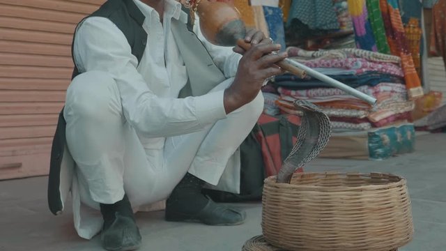 a snake charmer in India