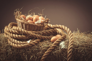 Hens Eggs © Springfield Gallery