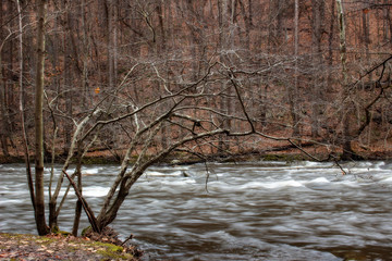 bowing to the river