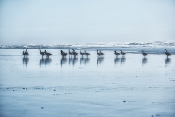 paisagens