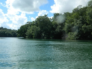 Cuba. Varadero. Landscape with river and trees