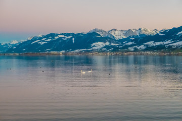 Landscapes along the shores of the Upper Zurich Lake (Obersee) between the villgae of Hurden (Seedam, Schwyz) and Rapperswil (Sankt Gallen), Switzerland