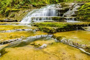 waterfall in the forest