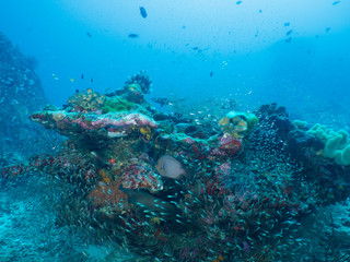 Plongée .Thailande