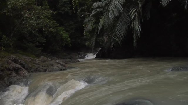 Small stream in the jungle, Borneo Malaysia