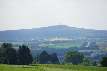 Großer Hügel mit Bäumen und einem Rapsfeld