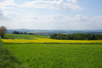 Weiterblick in die Landschaft mit Wiese und Rapsfeld