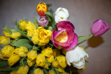 bouquet of colorful tulips