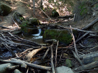 Small mountain river