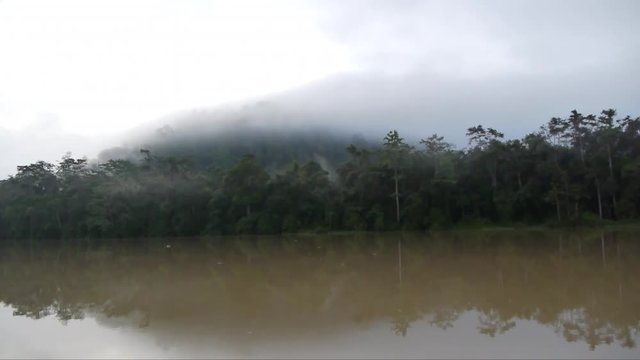Tracking Shot Of River Boat Tour, Borneo Rainforest