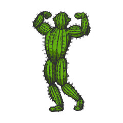 Cactus man posing color sketch engraving vector illustration. Scratch board style imitation. Black and white hand drawn image.