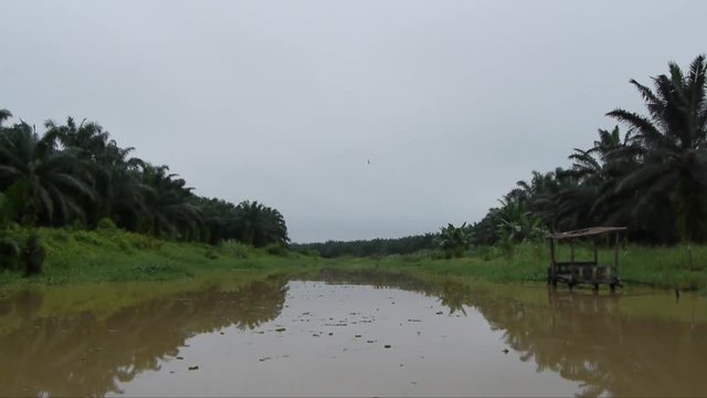 River in Sabah Borneo, Malaysia