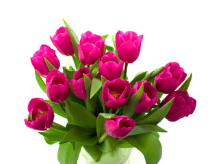 bouquet of fresh tulips isolated on white background