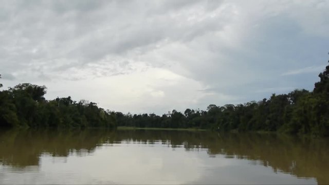 Rainforest and river Sabah Borneo Malaysia filming from boat