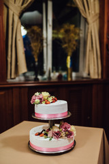 Fototapeta na wymiar wedding cake at the wedding of the newlyweds