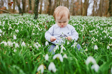 One year old baby girl sitting on the grass with many snowdrop flowers