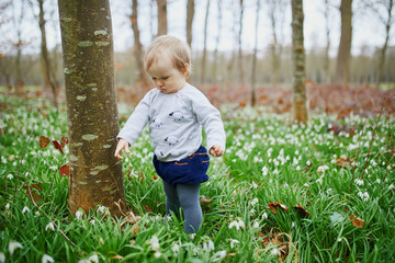 one year old baby girl standing by a tree in park or forest with many snowdrop flowers