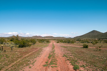 Fototapeta na wymiar Arizona Desert