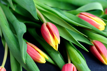 Yellow red flowers tulips fresh beautiful bouquet with green leaves and stem  close up