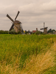 Naklejka premium Netherlands, Rotterdam, Kinderdijk, heritage windmill above lush green grass along a canal