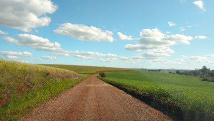 road in the field