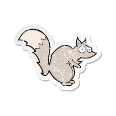 retro distressed sticker of a funny startled squirrel cartoon