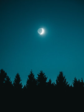Lunar eclipse in clear sky over evergreen trees, Harz