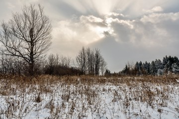 Claireville Conservation Park during winter