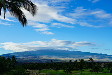 Fototapeta na wymiar View of a golf course with mountains and palm trees in the background in Hawaii.