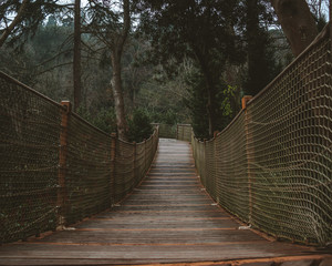 Fototapeta premium Bridge