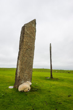 United Kingdom, Scotland, Orkney Islands, Mainland, Standing Stones of Stenness, UNESCO world heritage sight