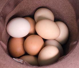   Eggs, quail, different colors, as food, as the birth of a new life, as a valuable product, as foodeggs are different, white, colored, speckled chicken, speckled