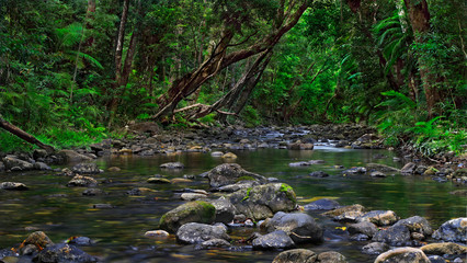 Fototapeta na wymiar Magical rainforest creek slowly flows through numerous rocks. Emmagen creek, Daintree National Park, Far North Queensland, Australia.-Image.