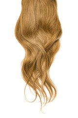 Obraz premium Long wavy brown hair on white background