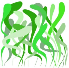 Confusion of green grass, algae