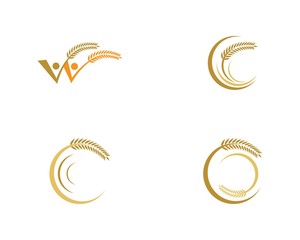 Wheat logo template