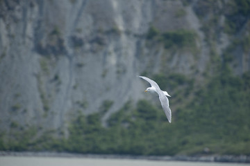 alaska